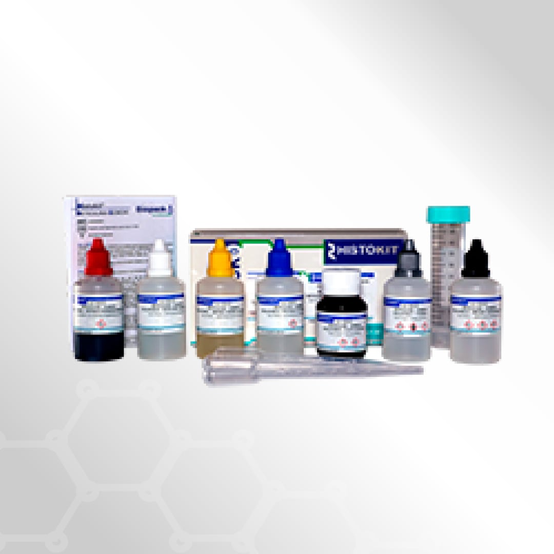 Histokit® Reticulina-Gomori